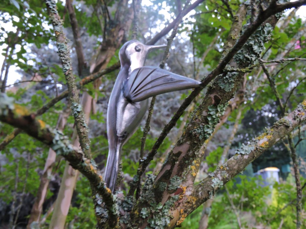 Création : Colibri en acier